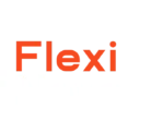 Logo Flexinaves